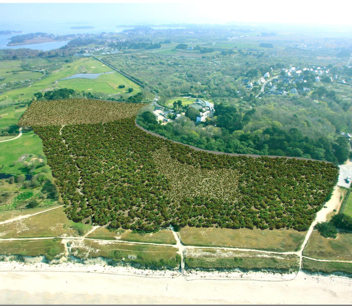 Reboisement du bois de Kerver - Conseil Général du Morbihan - CBGF