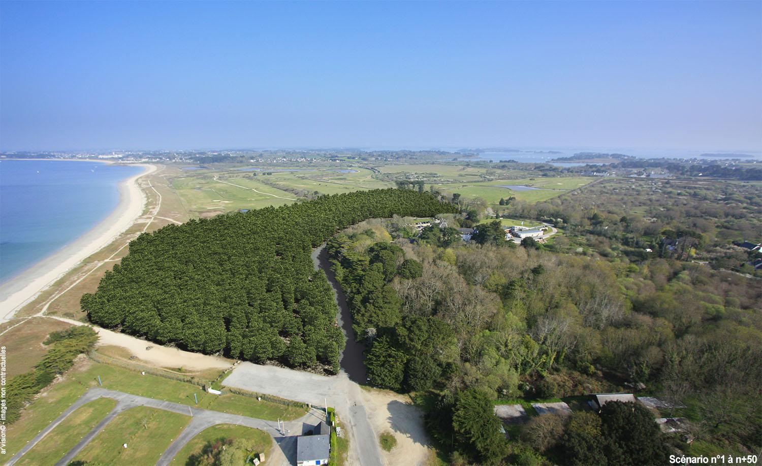 Reboisement du bois de Kerver - Conseil Général du Morbihan - CBGF